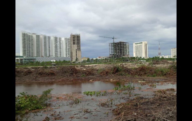 El pasado 16 de enero, la Fonatur ordenó el ingreso de maquinaria para desmontar indistintamente 20 hectáreas de manglares. SUN / ARCHIVO