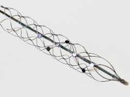 Las señales decodificadas por un ordenador se transmitirán de forma inalámbrica para permitir el movimiento. EFE / Universidad de Melbourne