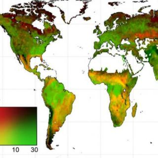 La NASA presenta nuevos mapas que revelan el ciclo del carbono