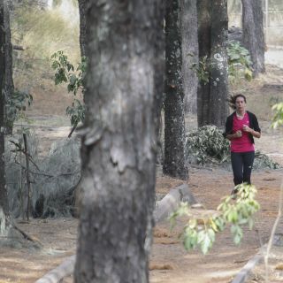 Predio de Colomos será declarado Área de Recuperación Natural