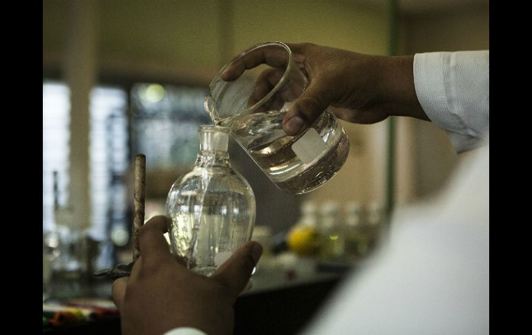 El tratamiento desarrollado debe emplearse por lo menos un año para que tenga los efectos deseados. EL INFORMADOR / ARCHIVO