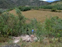 Los cinco jóvenes desaparecidos eran originarios de Playa Vicente. EFE / ARCHIVO