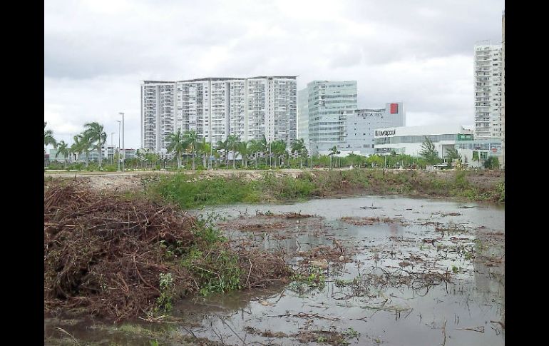 La elaboración del estudio comenzó en septiembre de 2015, luego de los desmontes y rellenos hechos por la empresa. SUN / ARCHIVO