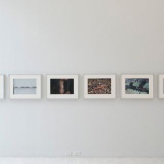 Museo Tamayo invita a visitar muestra de Heinz Peter Knes