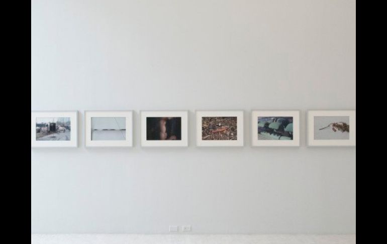 Knes decidió privilegiar maneras de dar a entender la complejidad de composiciones en sus imágenes. TWITTER / @museotamayo