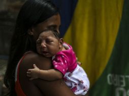 Creen que el vínculo entre el virus y las microcefalias en recién nacidos es ''cada vez más probable''. EFE / ARCHIVO