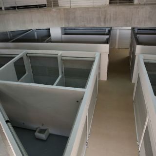 Nuevo Mercado Corona, operando el 28 de febrero