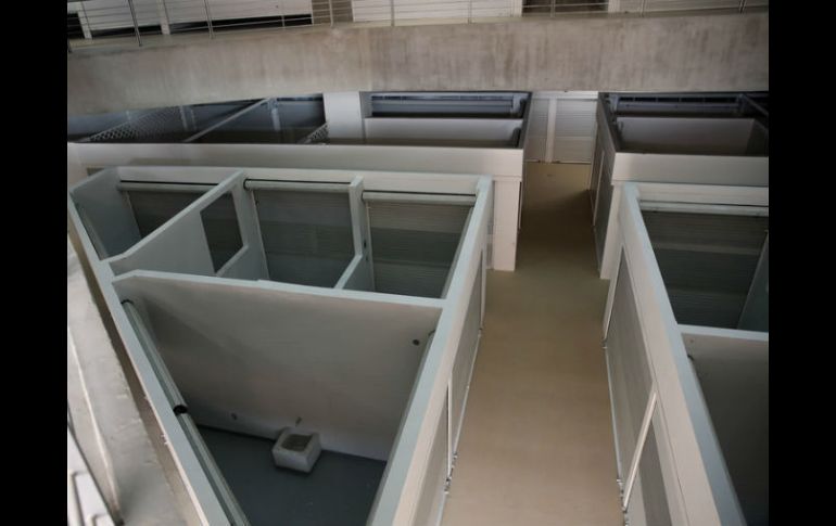 Urgen a los locatarios a tramitar sus contratos de luz, agua y gas. EL INFORMADOR / ARCHIVO