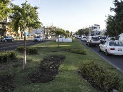 Las autoridades explican que la mayor parte del personal del área es de la tercera edad, lo que complica la labor. EL INFORMADOR / R. Tamayo