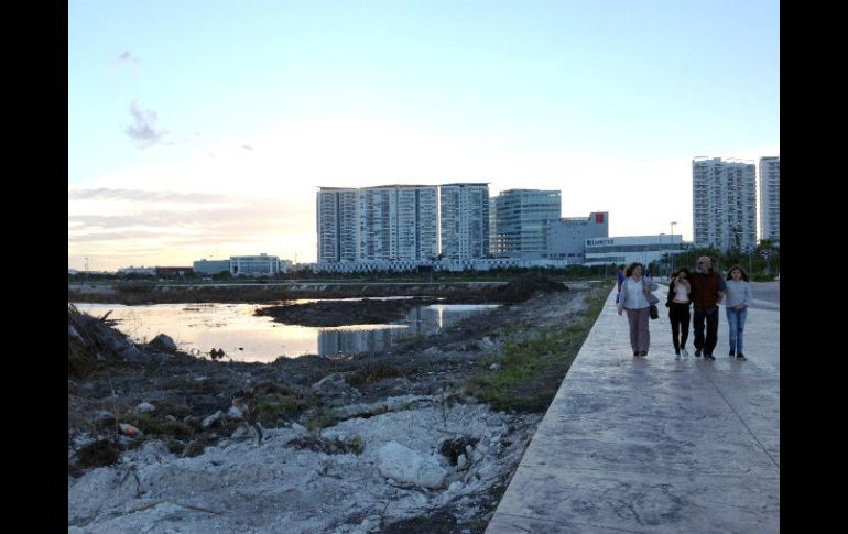 Greenpeace y Salvemos Tajamar subrayaron que el rescate de los animales no debe ser motivo para desestimar el manglar. SUN / ARCHIVO