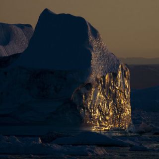 Iceberg causa muerte de 150 mil pingüinos en la Antártica