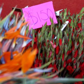 La Profeco suspende comercios en Jalisco por 14 de Febrero