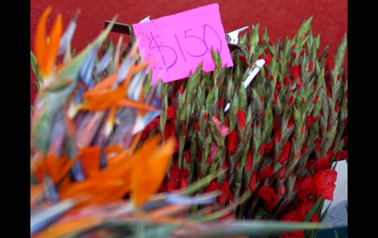 Realizaron visitas a florerías, zapaterías, tiendas de ropa y restaurantes. EL INFORMADOR / A. Hinojosa