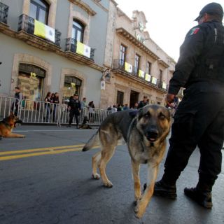 Elementos de la PF revisan edificios y blindan las vialidades de Morelia