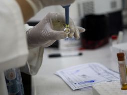 Autoridades recomiendan a todas las personas que regresen enfermas de un viaje a una región tropical, que acudan al médico. AP / M. Castillo