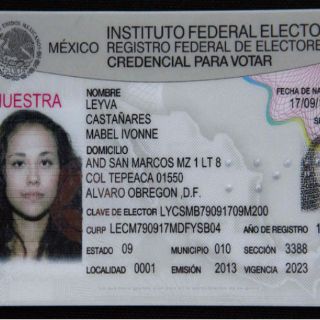 Mexicanos en Alemania podrán tramitar credencial electoral
