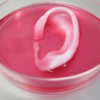 Desarrollan impresora 3D capaz de fabricar tejido para humanos