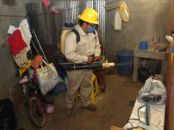 Anuncian que desde el pasado 3 de febrero se trabajó con brigadas epidemiológicas. SUN / ARCHIVO