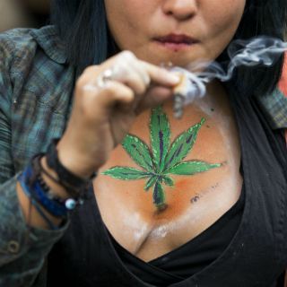 La mariguana, droga de arranque para poliadictos