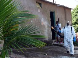 Autoridades chiapanecas aseguran que se continúan las acciones preventivas y de control del vector transmisor. AFP / E. Sa