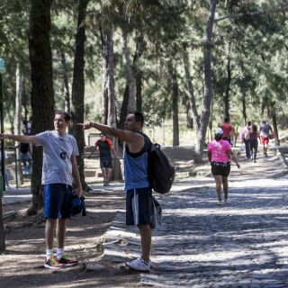 Van por expropiación de terrenos particulares de Los Colomos