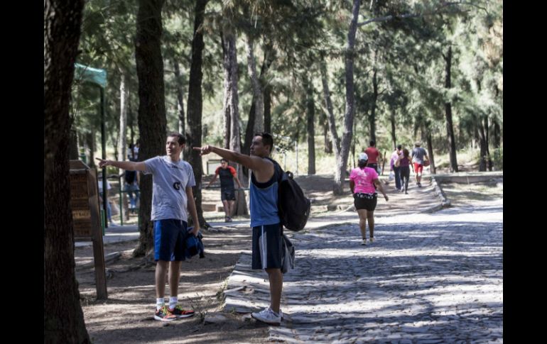 Argumentan que es importante preservar este auténtico pulmón natural de la ZMG. EL INFORMADOR / ARCHIVO