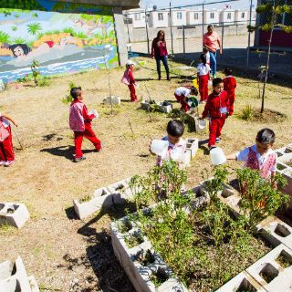 Extra ya sembró más de 2.2 millones de árboles