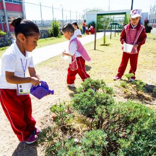 Con nuevo vivero, Extra impulsa su proyecto de Bosque Urbano