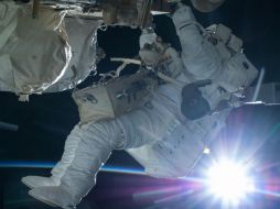 Los candidatos deben ser ciudadanos estadounidenses con un título en Ciencias, Matemáticas o Ingeniería. TWITTER / @NASA