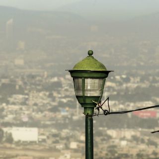 Extra busca certificarse como institución que produce bonos de carbono