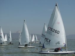 Aseguran que en la Vela es muy común tener empates, esto luego de que tres veleristas compartieran el primer puesto. EL INFORMADOR / F. Atilano