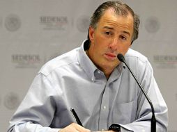 Meade asegura que Sedesol buscará mejorar su coordinación con otras dependencias, empresarios y sociedad civil. NTX / ARCHIVO