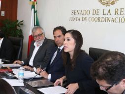 Ximena Puente durante las audiencias públicas en el Senado. TWITTER / @XimenaPuente