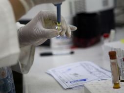 Afirman que entre los grandes desafíos infecciosos también se encuentra el dengue. AP / ARCHIVO