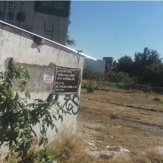 Revisan áreas de conservación en Los Colomos