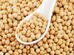 La soya es fuente de proteínas de alta calidad, equiparable al consumo de leche o huevo. ESPECIAL / ARCHIVO