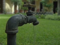 Se calcula que casi un millón de personas fallece a consecuencia de enfermedades relacionadas con el agua cada año. EL INFORMADOR / ARCHIVO