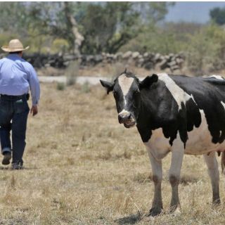 Lala invierte 350 MDP en nueva planta en Sonora