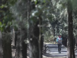 Sandoval Díaz señaló que hasta el momento se han rescatado 16 mil 500 metros cuadrados del Bosque Los Colomos. EL INFORMADOR / ARCHIVO