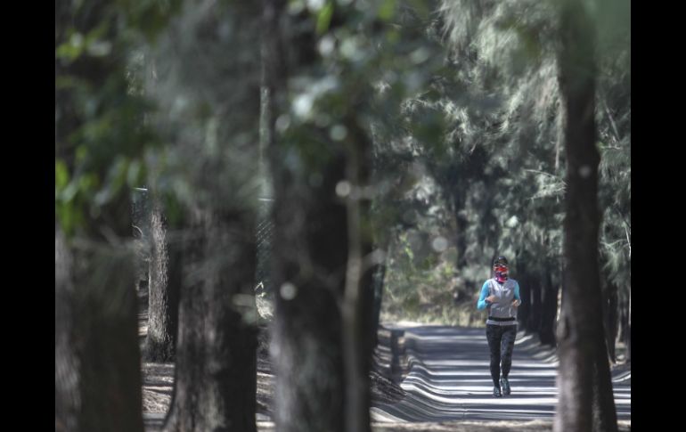 Sandoval Díaz señaló que hasta el momento se han rescatado 16 mil 500 metros cuadrados del Bosque Los Colomos. EL INFORMADOR / ARCHIVO