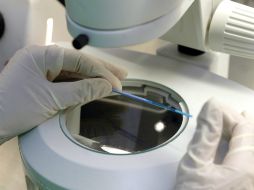 El estudio se realiza con una biopsia para sustraer una o varias células del embrión. EL INFORMADOR / ARCHIVO