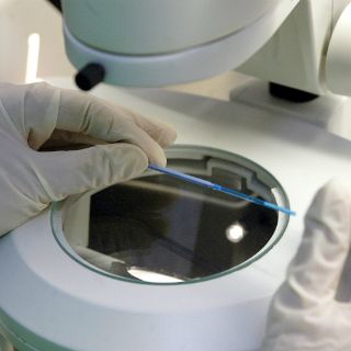 Desarrollan método para predecir éxito de la fertilización in Vitro