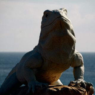 Exposición itinerante muestra riqueza natural de Isla Mujeres