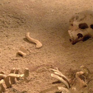 Hallan evidencia de presencia musulmana en Francia en el siglo VIII