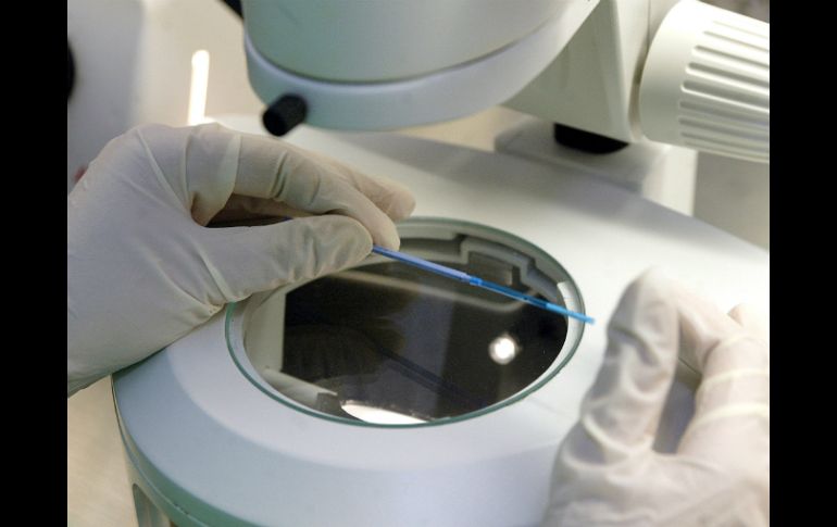 Si la técnica funciona en seres humanos, podrían crear un esperma para transmitir junto con su ADN. EL INFORMADOR / ARCHIVO