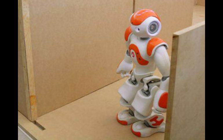 El robot tiene varios sensores táctiles, sonares, un giroscopio, un acelerómetro y dos cámaras disponibles. ESPECIAL / conacytprensa.mx