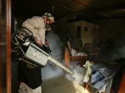 Los 31 cantones declarados en emergencia son los que tienen más números de casos tanto de dengue como chikunguña. AP / A. Franco