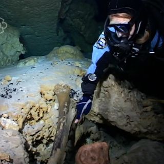 Expertos trabajan a detalle en el estudio de 'Naia'