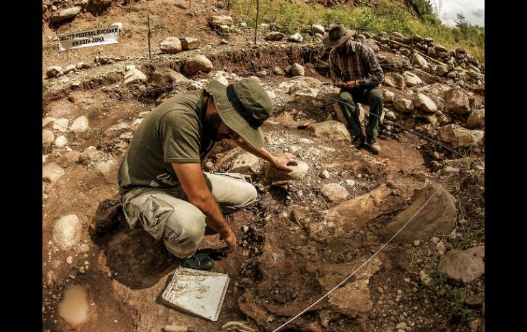 Investigadores aseguran que el hallazgo será un avance enorme para el período Jurásico. EL INFORMADOR / ARCHIVO