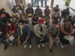 Cientos de personas esperan durante horas para obtener el Tamiflu, pero varias salen con las manos vacías. EL INFORMADOR / F. Atilano